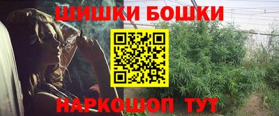 прущие грибы Первоуральск