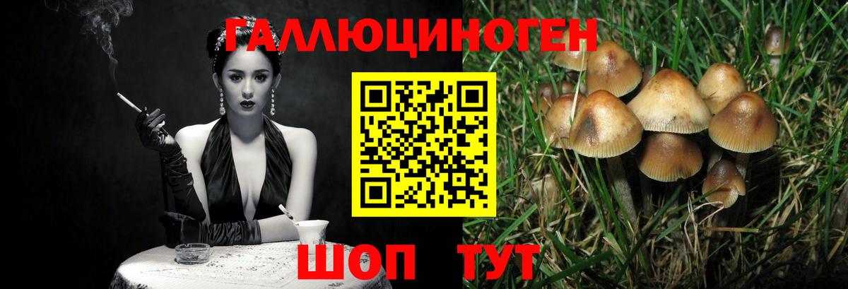 Псилоцибиновые грибы Psilocybe  Псилоцибиновые грибы MAGIC MUSHROOMS  как найти закладки  Солнечногорск  Вход с VPN 